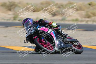 media/Mar-26-2023-CVMA (Sun) [[318ada6d46]]/Race 13 500 Supersport-350 Supersport/